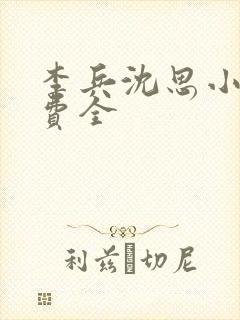 李兵沈思小说免费全