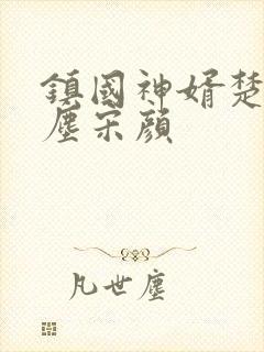 镇国神婿楚尘楚尘宋颜