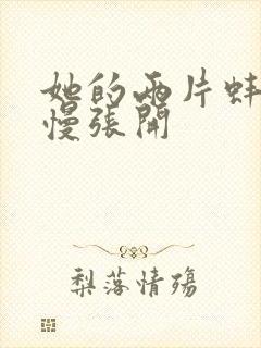 她的两片蚌肉慢慢张开