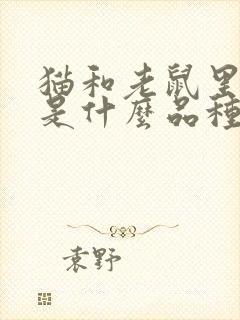 猫和老鼠里的狗是什么品种封面