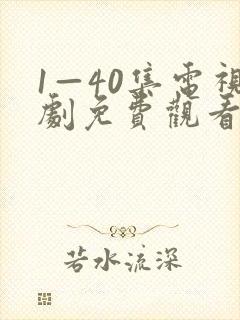 1—40集电视剧免费观看29集