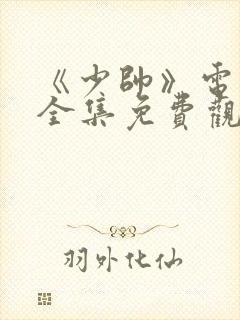 《少帅》电视剧全集免费观看高清