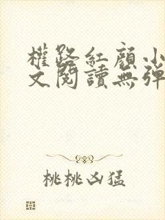 权路红颜小说全文阅读无弹窗