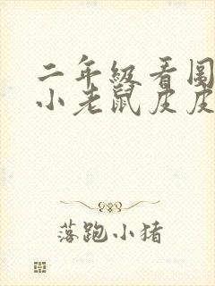 二年级看图写话小老鼠皮皮过生日封面