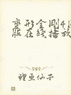 变形金刚4国语版在线播放