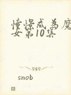 憧憬成为魔法少女第10集