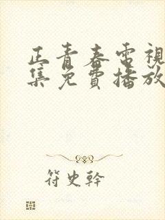 正青春电视剧全集免费播放高清版