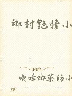 乡村艳情小说封面