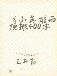 《小英雄雨来》梗概400字