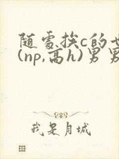 随处挨c的世界(np,高h)男男小说