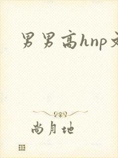男男高hnp文