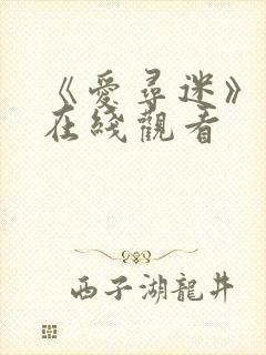 《爱寻迷》电影在线观看