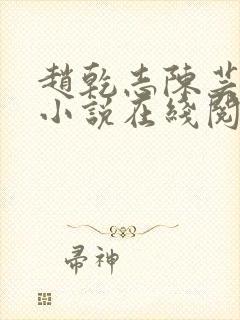 赵乾志陈芸穿越小说在线阅读封面