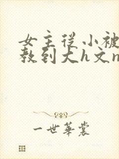 女主从小被肉调教到大h文np