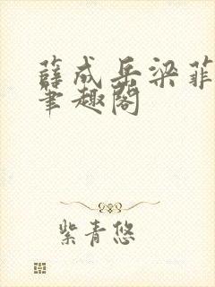 薛成岳梁菲小说笔趣阁