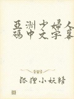 亚洲少妇人妻乱码中文字幕封面