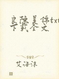 良陈美锦txt下载全文