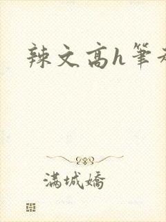 辣文高h笔趣阁封面