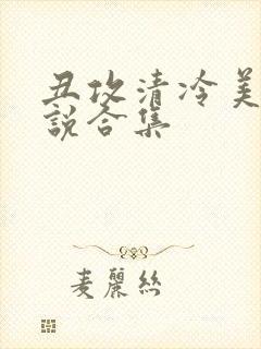 丑攻清冷美人小说合集