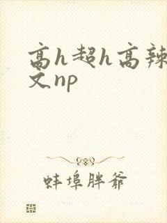 高h超h高辣h文np
