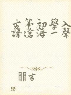 古筝初学入门简谱沧海一声笑