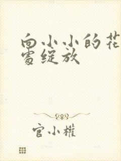 向小小的花蕾深处绽放