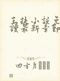 王扶小说免费阅读最新章节无弹窗封面