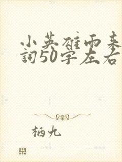 小英雄雨来颁奖词50字左右封面