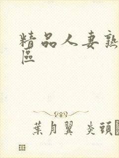 精品人妻熟女一区