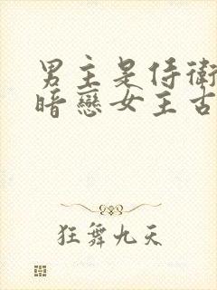 男主是侍卫从小暗恋女主古言封面