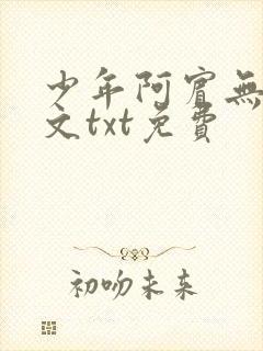 少年阿宾无删全文txt免费