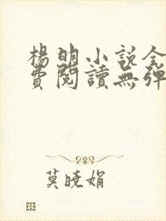 杨明小说全文免费阅读无弹窗