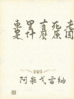 车里有死老鼠味是什么原因