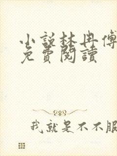 小说林冉傅行简免费阅读