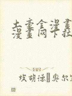 土豪金漫画免费漫画网下拉式