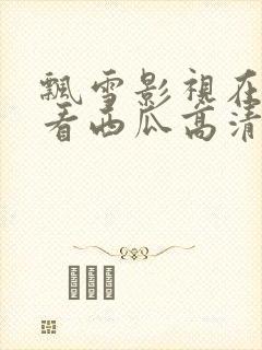 飘雪影视在线观看西瓜高清小说封面