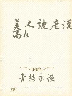 美人被老汉糟蹋高h