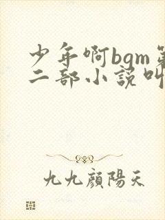少年啊bgm第二部小说叫什么