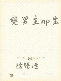 双男主np生子