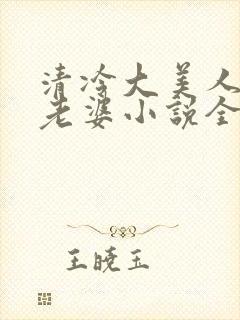 清冷大美人是我老婆小说全文阅读