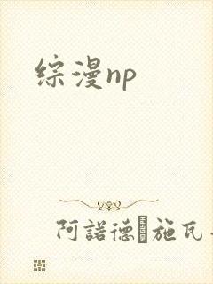 综漫np封面