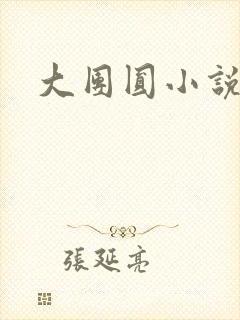 大团圆小说