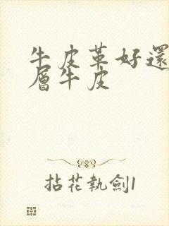 牛皮革好还是头层牛皮