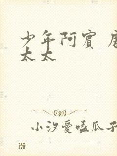 少年阿宾 房东太太