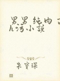 男男 纯肉 高h污小说