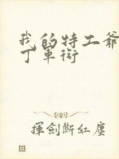 我的特工爷爷老丁军衔