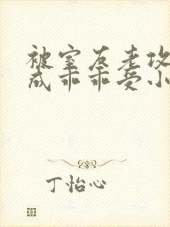 被室友老攻们肉成乖乖受小说