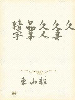 精品久久久中文字幕人妻封面