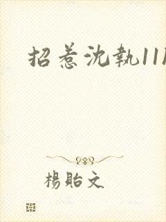 招惹沈执11h封面