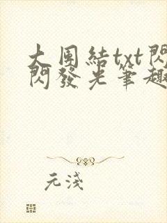 大团结txt闪闪发光笔趣阁封面